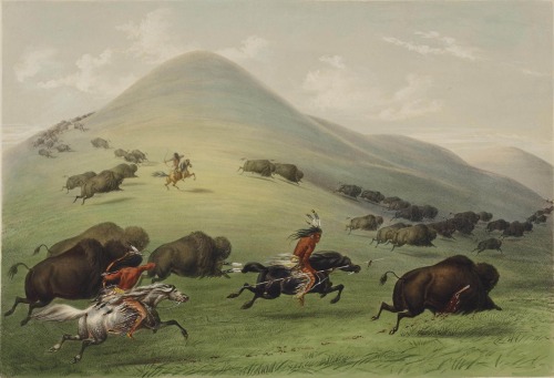 Buffalo Hunt, George Catlin, 1844