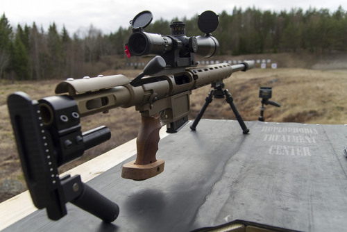 gunsgeargirls:
“ Suppressed .338 Lapua Magnum Sniper. by Hoplophobia treatmentcenter on Flickr.
”