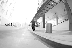 ALL SKATEBOARDING