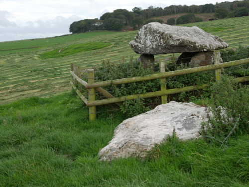 Mynydd Cefn Amlwch (Coetan Arthur) Burial Chamber, the Llyn Peninsula, North Wales, 26.8.16. This pr