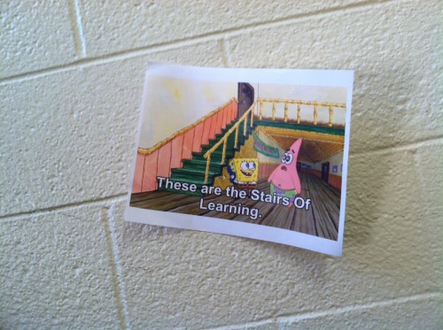 boopthestars:  SOMEONE PUT THESE BY THE STAIRS AT MY SCHOOL 