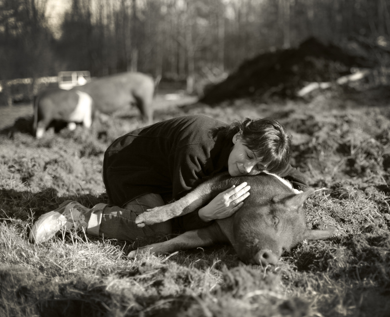 Hercules Was Born At The Sanctuary Very Shortly After His Mom April Was