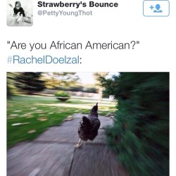 beyonslayed:  LEAVE THIS CHICKEN ALONE