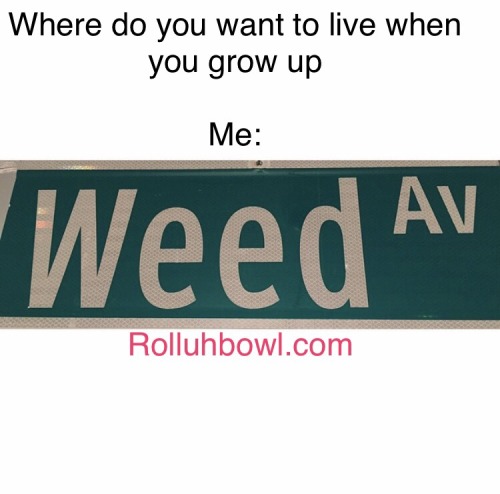 rolluhbowl