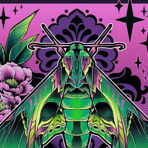 Pandora Sphinx Moth drawing close up⠀ .⠀ .⠀ .⠀ .⠀ #art #drawing #illustration #digitalart #illustrat