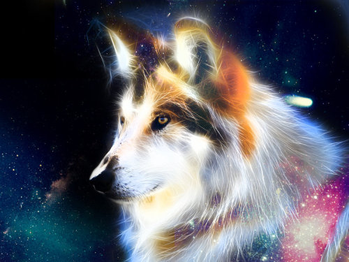 lohrien:  Illustrations by siora-rin
