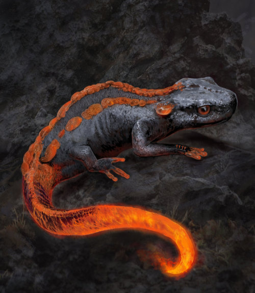 ArtStation - salamander2, by Denis RutskyMore concept art here.