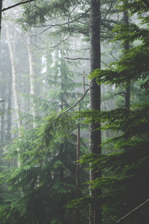 zionawaits - North Bend, WA Rattlesnake Ledge