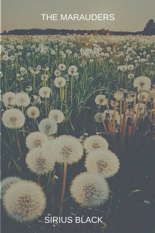 emmelinevvance:TRIWIZARD TOURNAMENT, FIRST T A S K:the marauders + floral