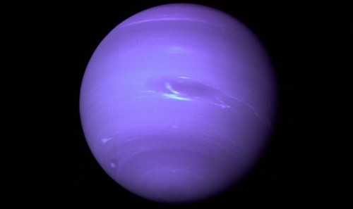 crowbara:jetgreguar:gaybabyrollins:vuov:Neptune taken by NASAwho THE FUCK let NASA take Neptunerelea