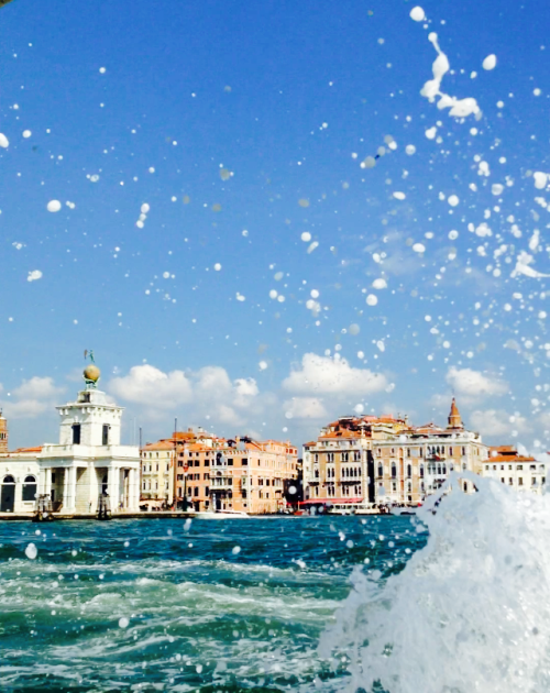 savedbythebellamy:Venice, July 2014