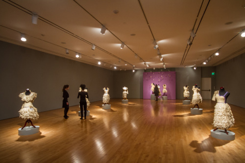 My show at the Paul and Lulu Hillard University Museum of Art.  Running through May 15, 2016.