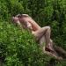 omgirl808:Love was made there,In amongst nature,Where the wild things are…