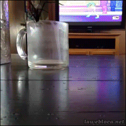 diasconredfox:  ¿que serie estan viendo?