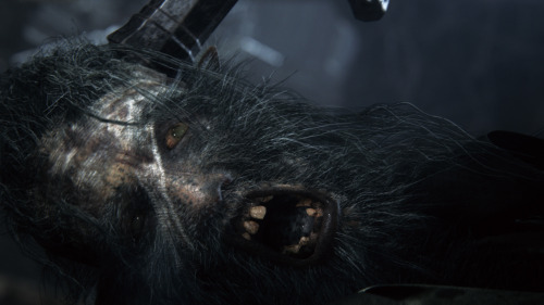 gamefreaksnz:  From Software announces ‘Bloodborne’ for PS4Dark Souls developer FromSoftware has unveiled Bloodborne, an action RPG coming in 2015 exclusively for PS4. Catch the E3 trailer here.
