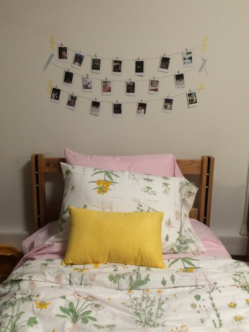 cloudypal:my dorm is small but so cute !!!