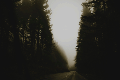 The Pacific Northwest by LAYERS