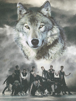 We are One,We are Wolves