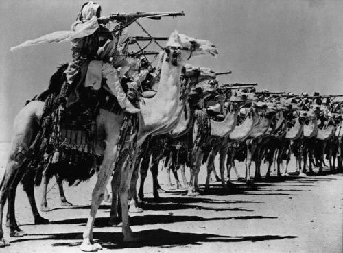 Camel Corps of the Arab Legion (Anti-Axis) at rifle practice, World War II.