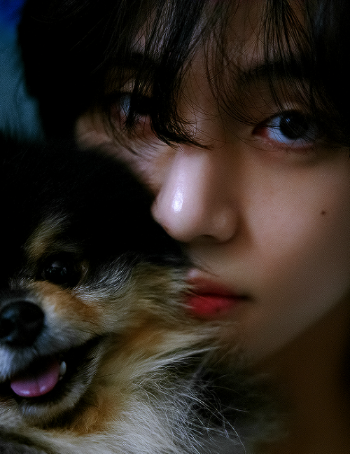 TAEHYUNG — 'Layover' ↳ Photos 1