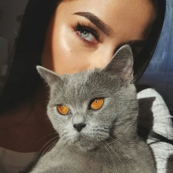 https://64.media.tumblr.com/bccf61fdfcd9c1a8898f61eeda9c5902/tumblr_ohsjztGHI71vevbzdo1_500.jpg