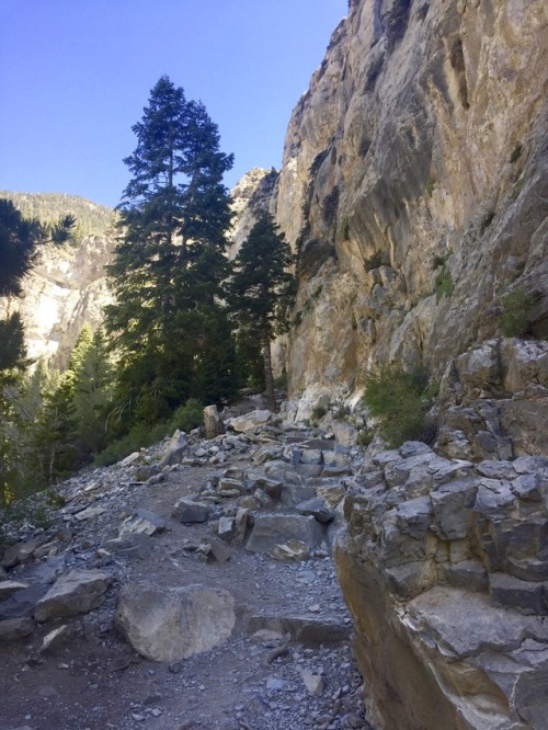 Mary Jane Falls Trail @ Mount Charleston, NV