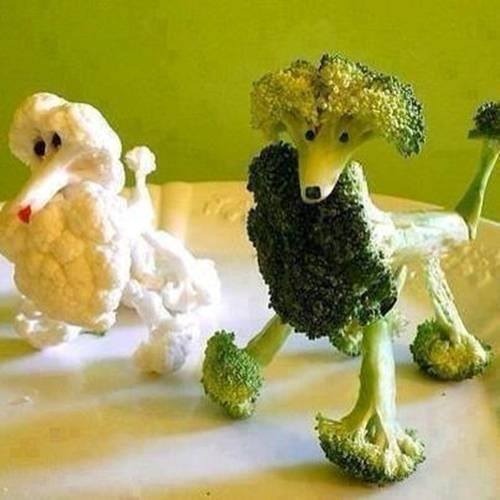 Bro"collie" and “Collie"flower… :D XOXO ~Selena Kitt~