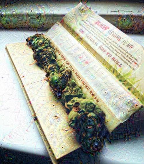 http://blowmelikekushhh.tumblr.com/post/125888407869