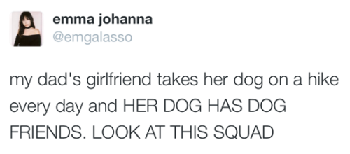 babyanimalgifs:  they’re all good dogs. (via @emgalasso)
