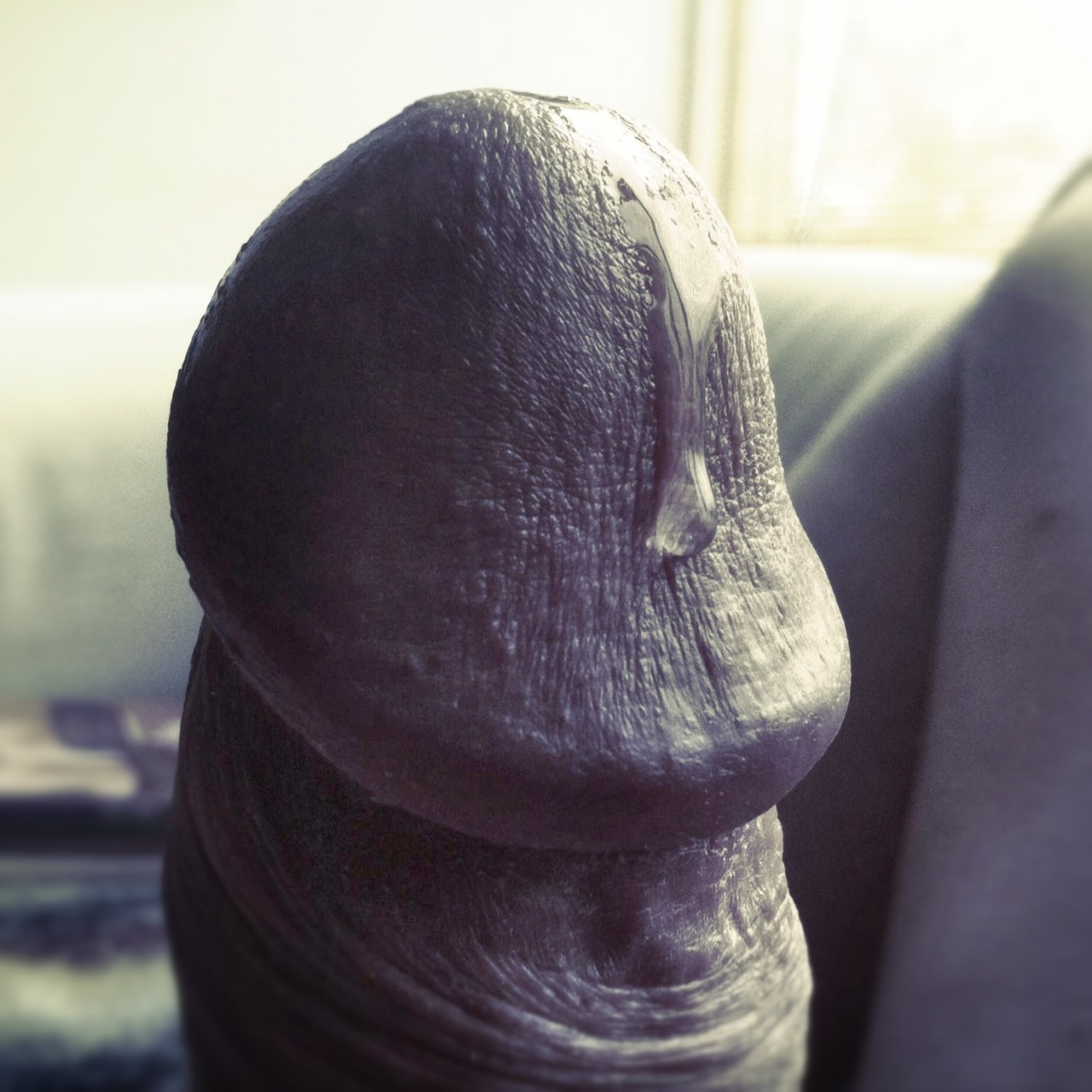 iloveprecum:  Great close up!  Thanks for submitting, bigpenguin!