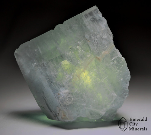 emeraldcityminerals:Pale translucent blue sharp single crystal of celestine (SrSO4). From Blue 