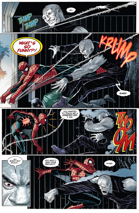  The Amazing Spider-Man #2 