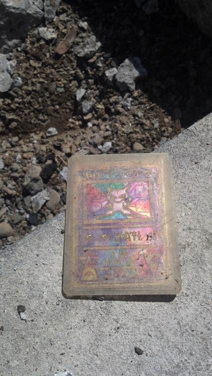 ladyorpheus:  sean3116:  Lost in the cracks of my house’s front porch over a decade ago and unearthed today by a construction project, this “Ancient Mew” card now fully looks the part. Now 22 years old, I am very pleased to have it returned to me,