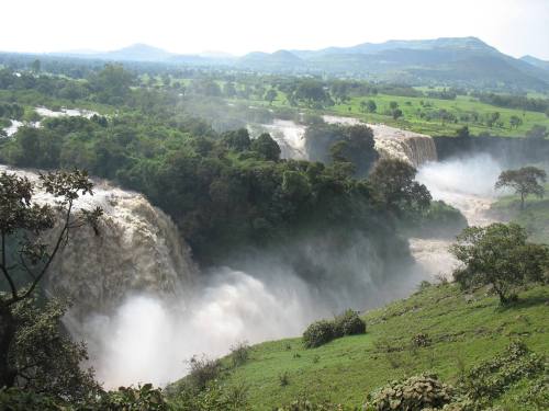 The Blue Nile FallsThirty kilometers downstream from its birthplace in Lake Tana, the fledgling Blue