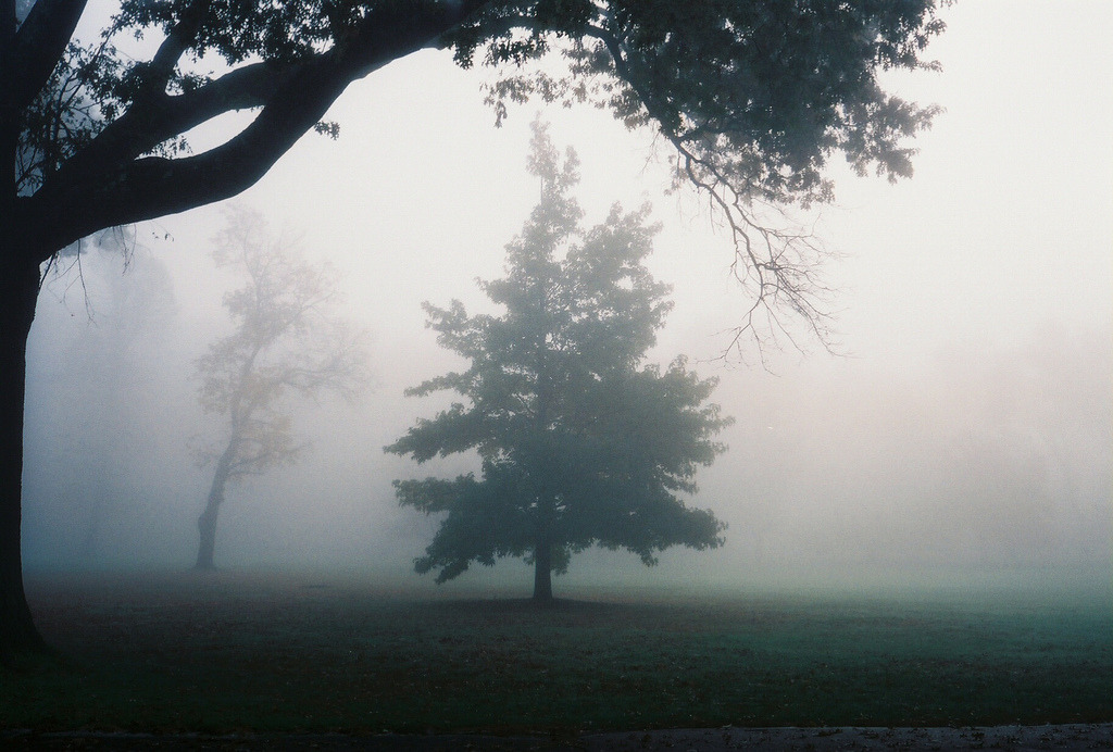 englishsnow:  by S. Shorey 