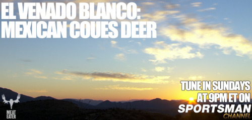 Tonight, Steve and Remi Warren head to Sonora, Mexico to hunt for the ever elusive Coues deer during