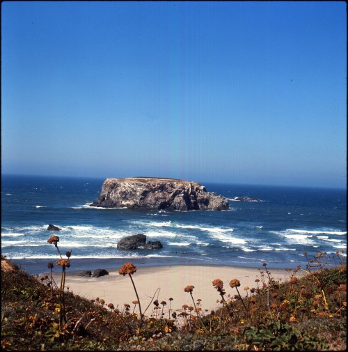 twoseparatecoursesmeet: Somewhere Along the Oregon Coast, 1966 Doris Thomas