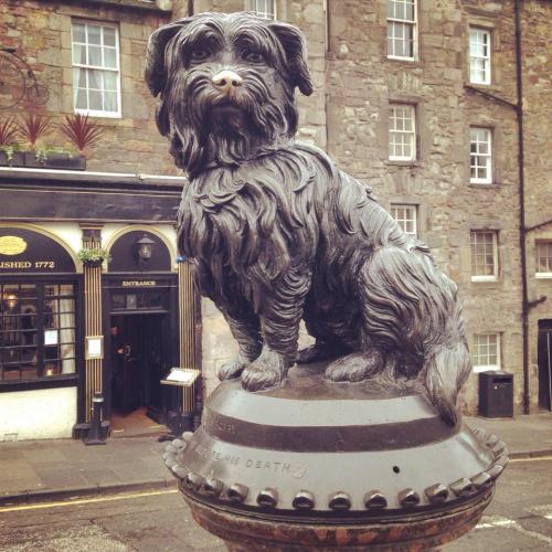 Greyfriars Bobby Greyfriars Bobby was Skye Terrior belonging to 19th century Edinburgh police office