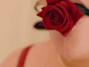 dressedincotton-deactivated2022: