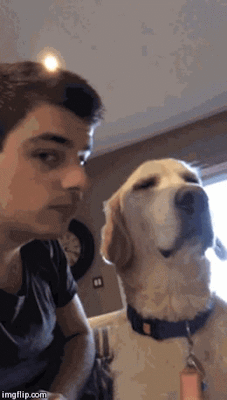 1Of2Dads:  Basicallybrentt:  Reblog If You Love Your Dog.    Thousands Of Pics For