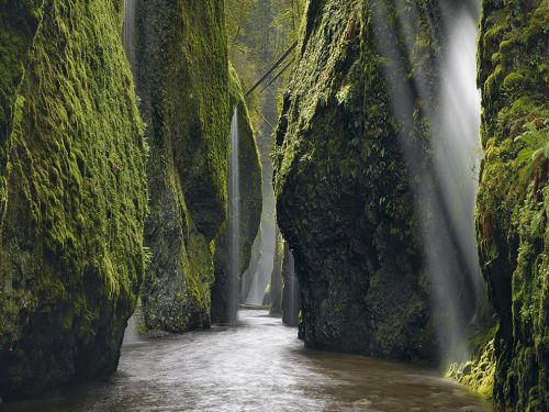 Porn photo Waterfall canyon, Columbia river gorge, Oregon,