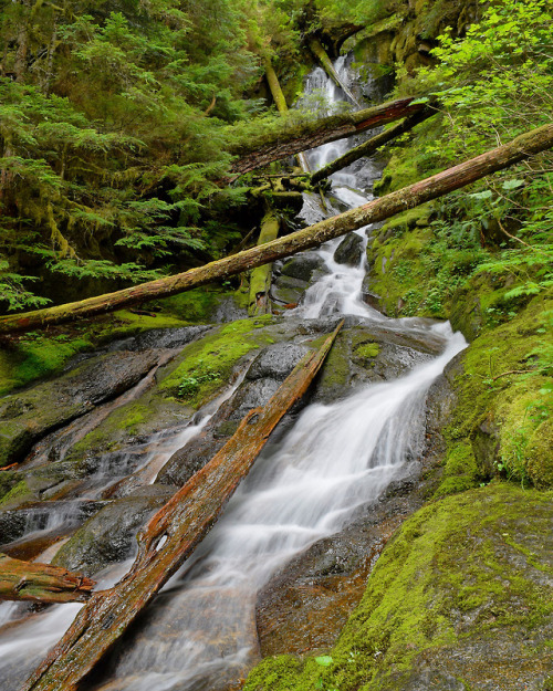 Unnamed waterfall. Boundary Trail, MRNP, WA by Mike Van Wyk