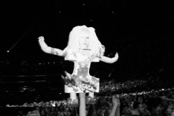 terrysdiary:  Lady Gaga on a stick.