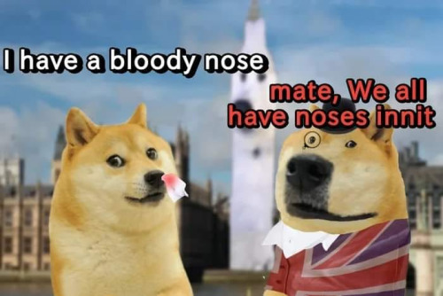 kimchiandgimbab - FUCK YOU TUMBLR
