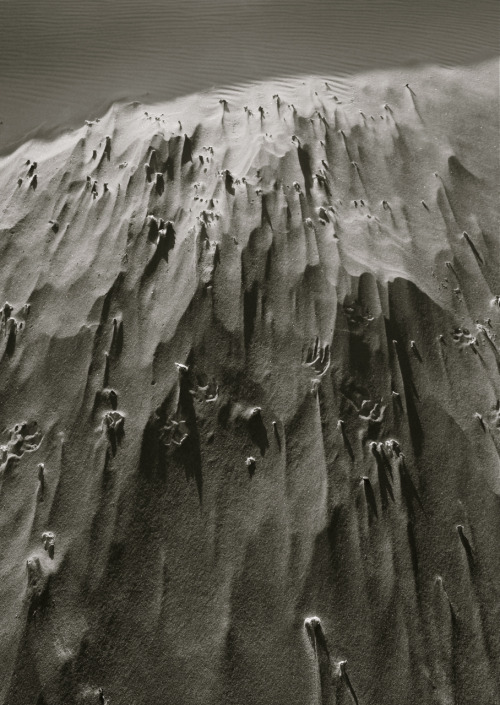 morsommen:  . wind effect . 5 .