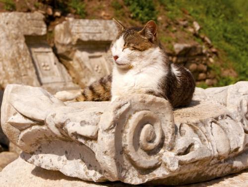 ancientgreecebuildings: Ephesus