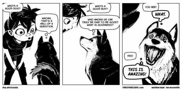 lolfactory:  Who’s a good boy? ➨ funny tumblr➨ facebook➨ twitter➨ pinterest[via