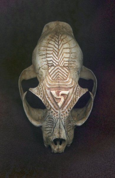 XXX Carved Skulls by Don Simpson photo