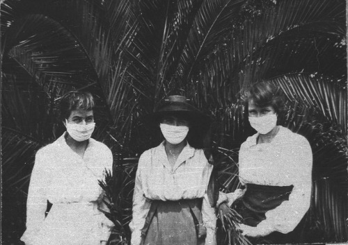 Typists wearing masks during influenza pandemic - Botanical Gardens, Sydney, NSW (State Library of N