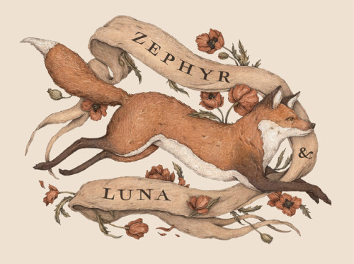 A jumping fox, illustrated as part of a branding project for Zephyr & Luna, a France-based photo